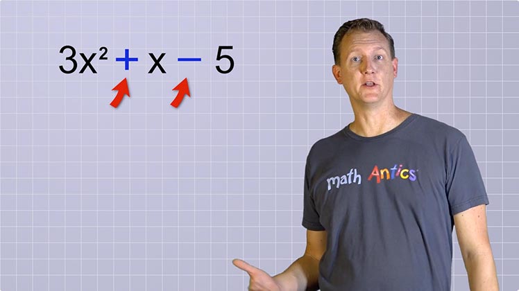 what are polynomials